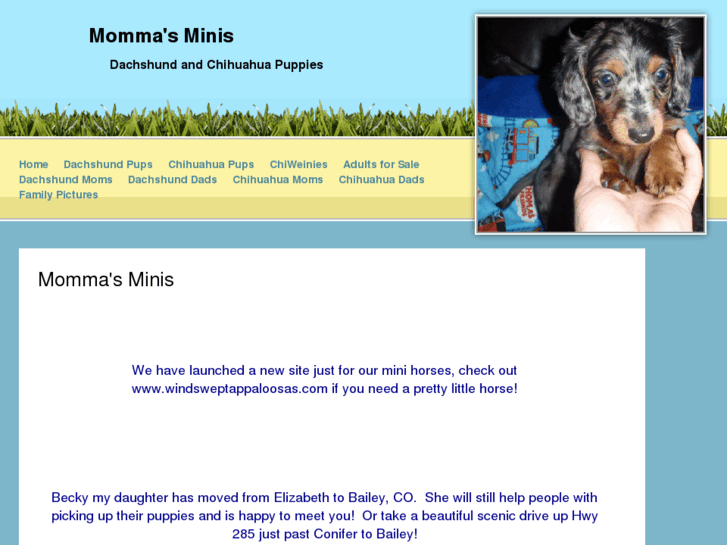 www.mommasminis.com