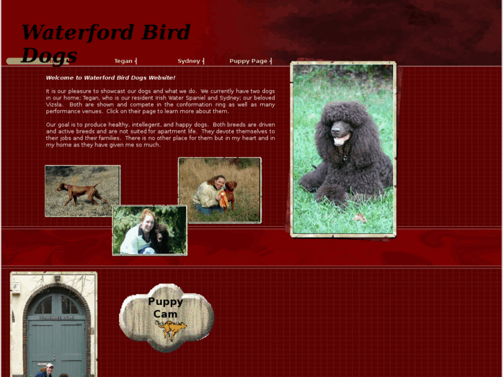 www.waterfordbirddogs.com