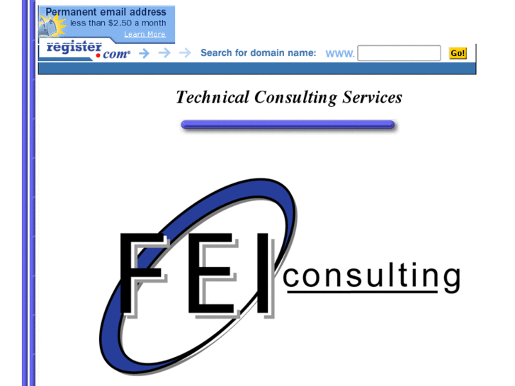 www.feiconsulting.com