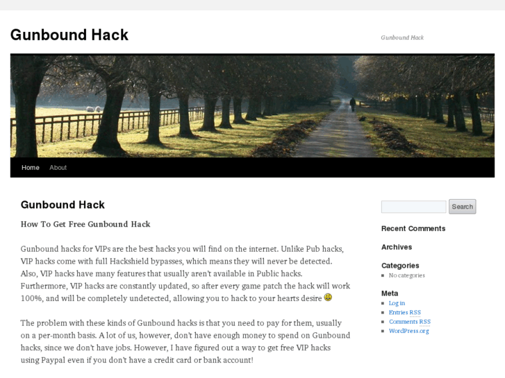 www.gunboundhack.net