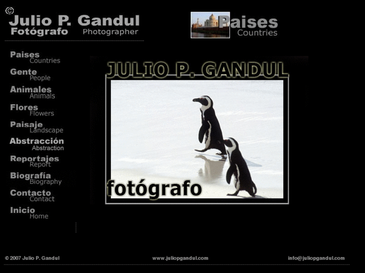 www.juliopgandul.com