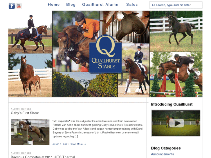 www.quailhurst-horses.com