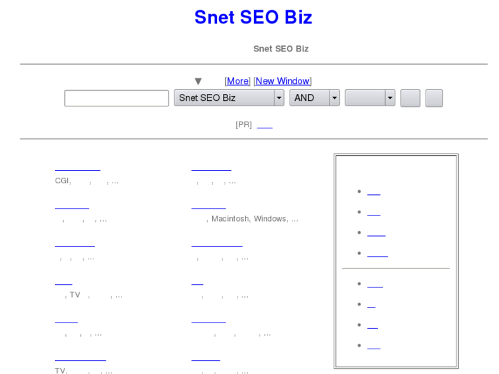 www.snet-seo.biz