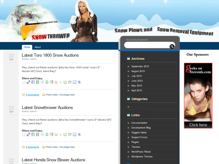 www.snowthrower.biz