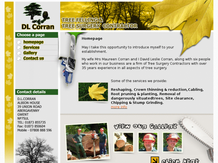 www.treesurgeonsouthwales.co.uk