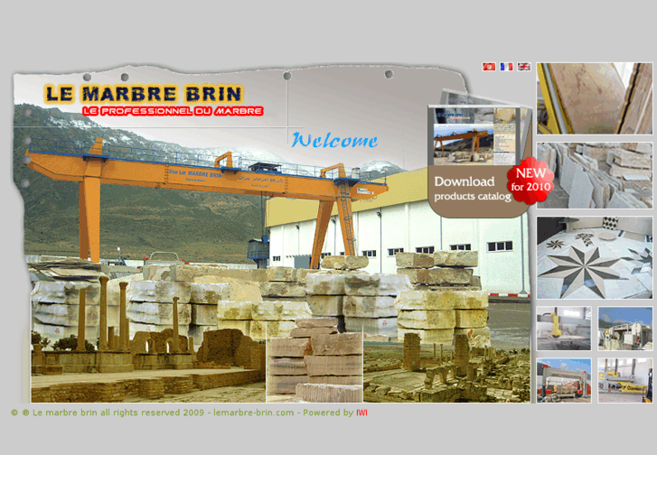 www.lemarbre-brin.com