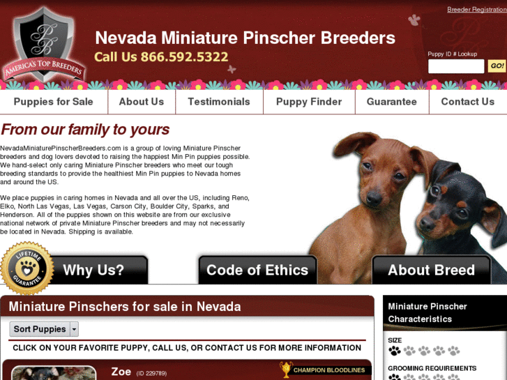 www.nevadaminiaturepinscherbreeders.com