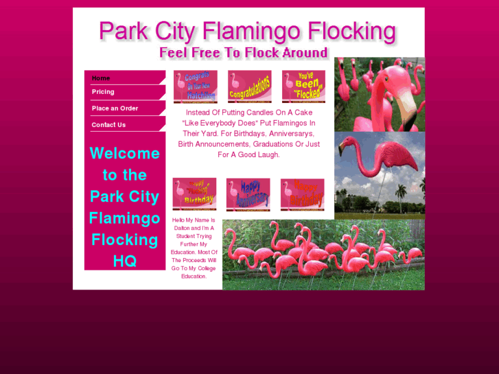 www.pcflamingoflockers.com