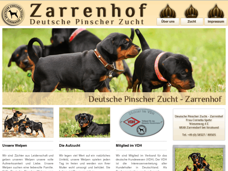 www.welpen-vom-zarrenhof.de