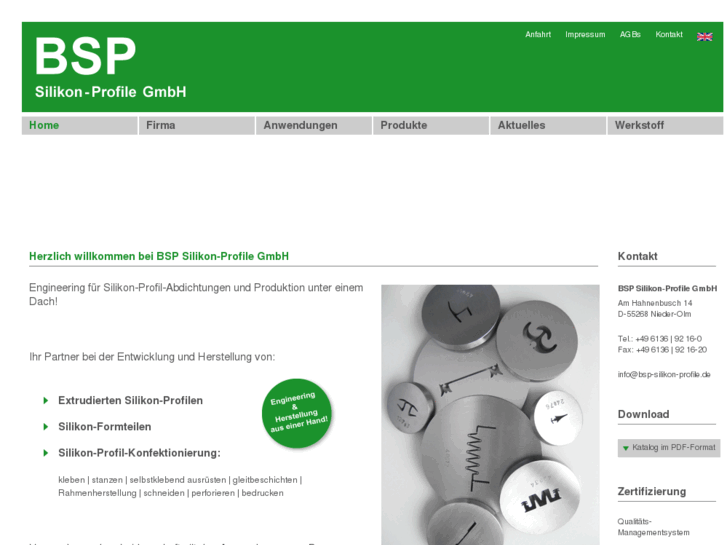 www.bsp-silikon-profile.de