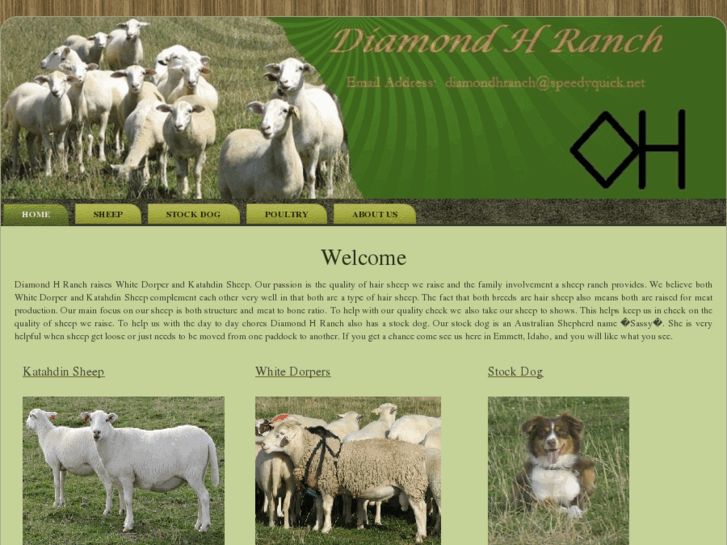 www.diamondhranch.net