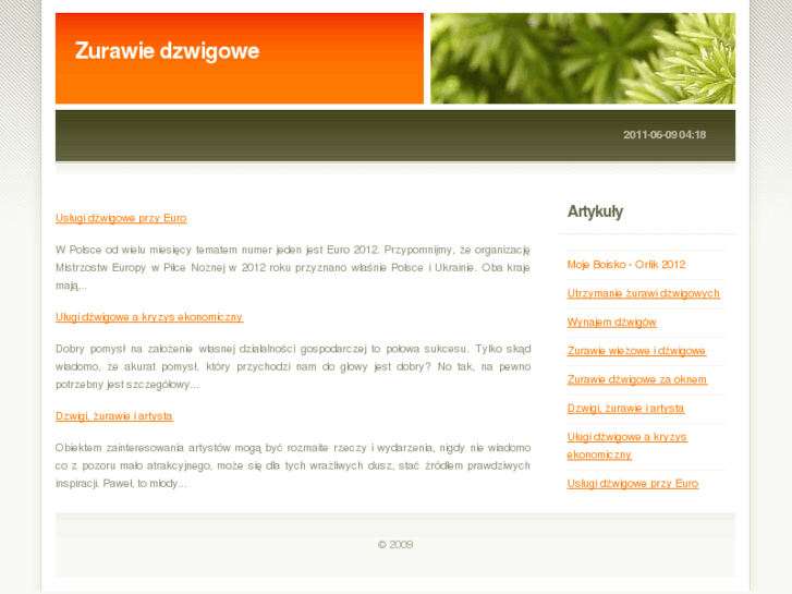 www.dzwigowe.com