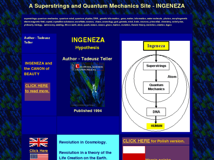 www.ingeneza.com