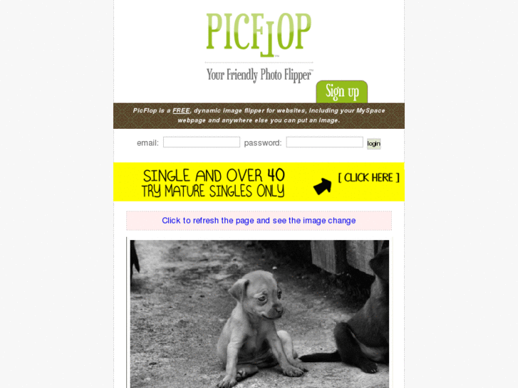 www.picflop.com