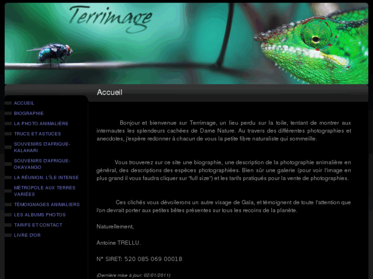 www.terrimage.com