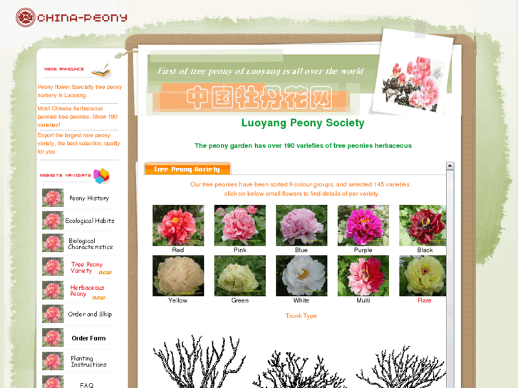 www.china-peony.com