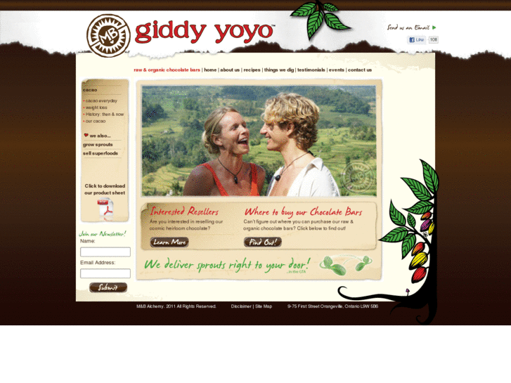 www.giddyyoyo.com