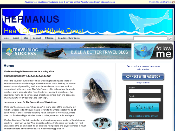 www.hermanuswhales.com