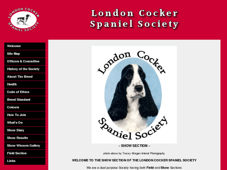 www.londoncockersociety.co.uk