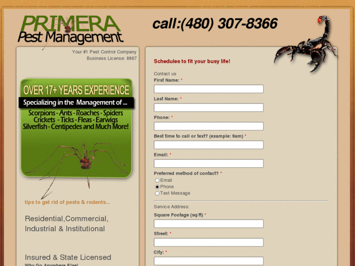 www.primera1130pest.com