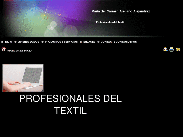 www.profesionalesdeltextil.es