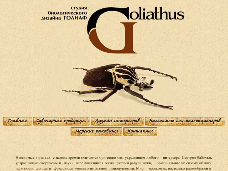 www.sbd-goliathus.com