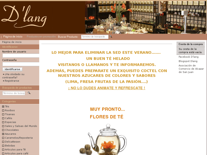 www.dlang.es