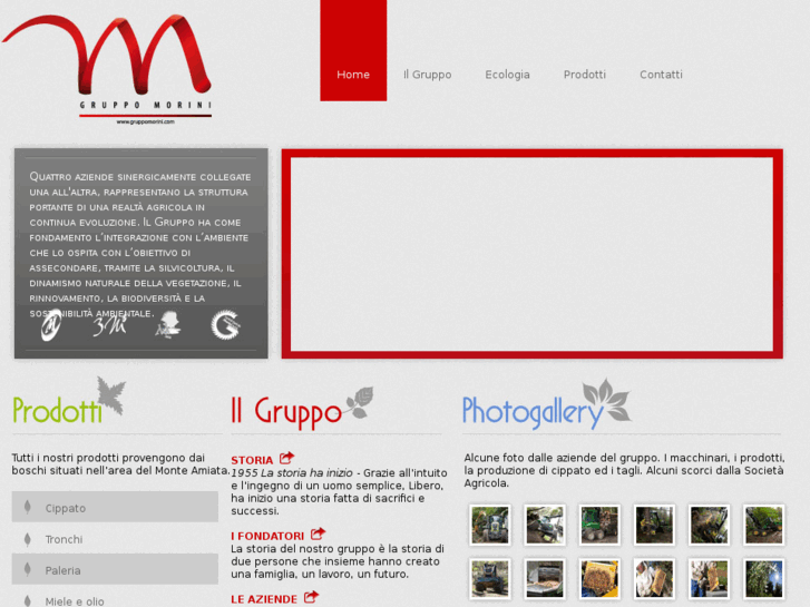 www.gruppomorini.com