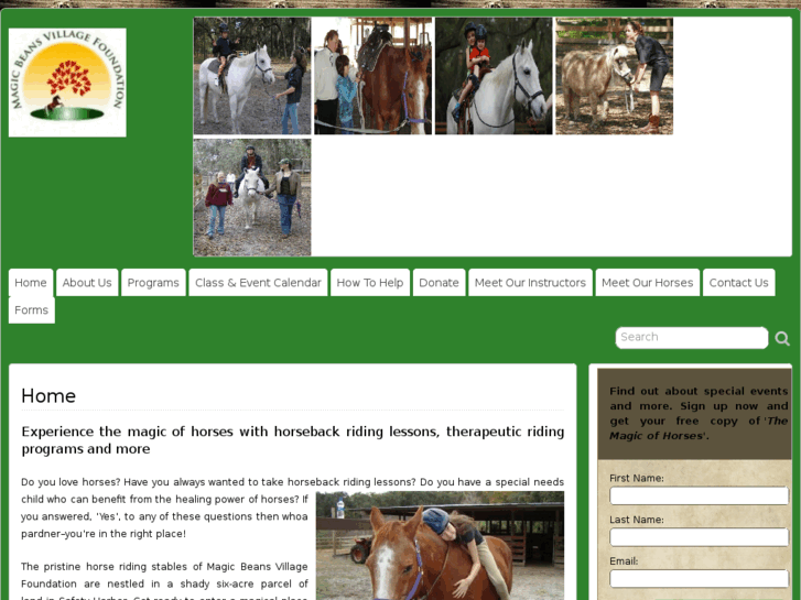 www.magicbeansvillage.org