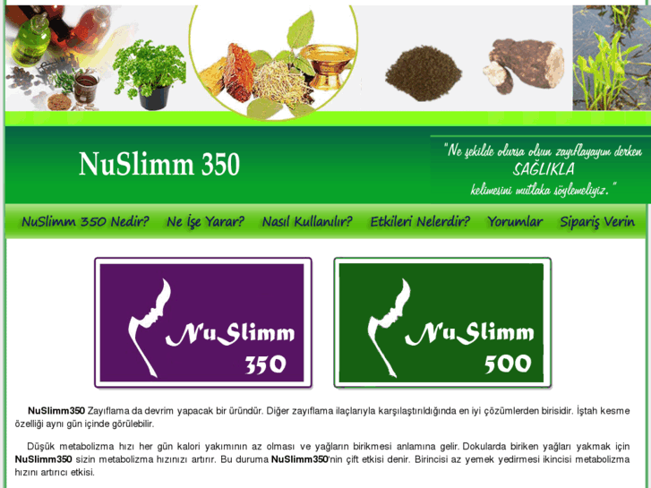 www.nuslimm.com