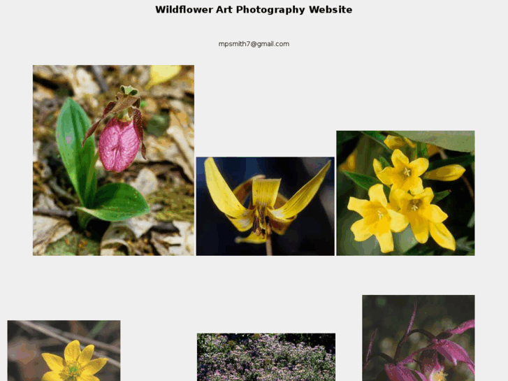 www.wildflowerartphotography.com