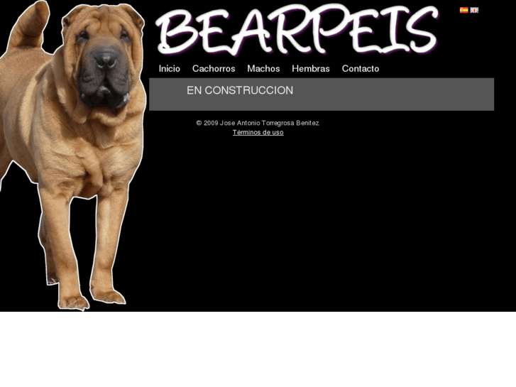 www.bearpeis.com