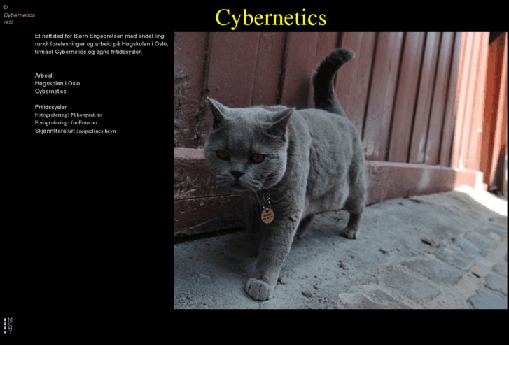 www.cybernetics.no