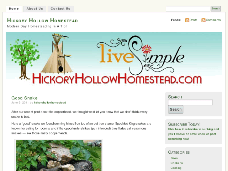 www.hickoryhollowhomestead.com