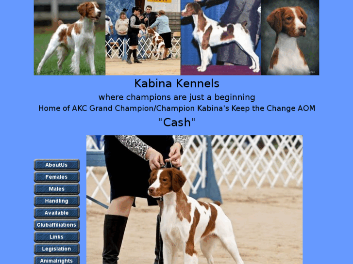 www.kabinakennels.net