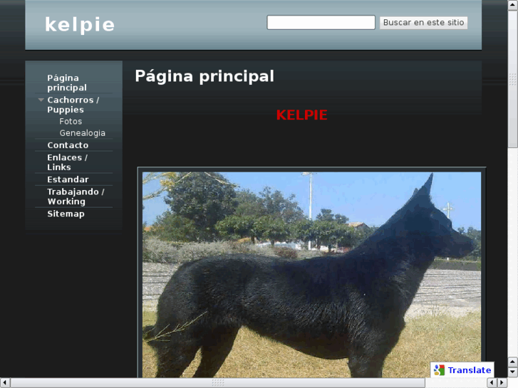 www.kelpie.es