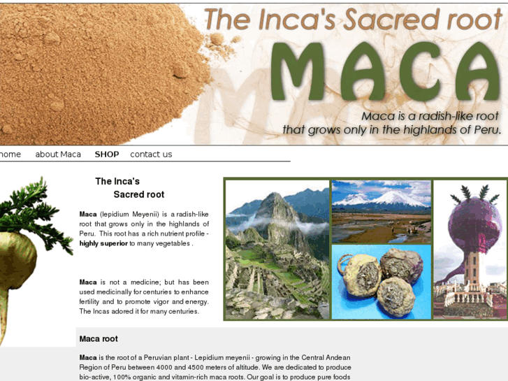 www.maca4you.com