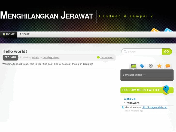 www.menghilangkanjerawat.org