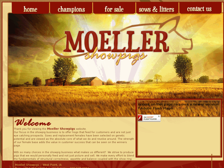 www.moellershowpigs.com