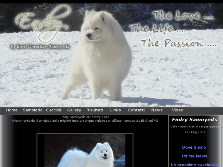 www.samoyeds.it