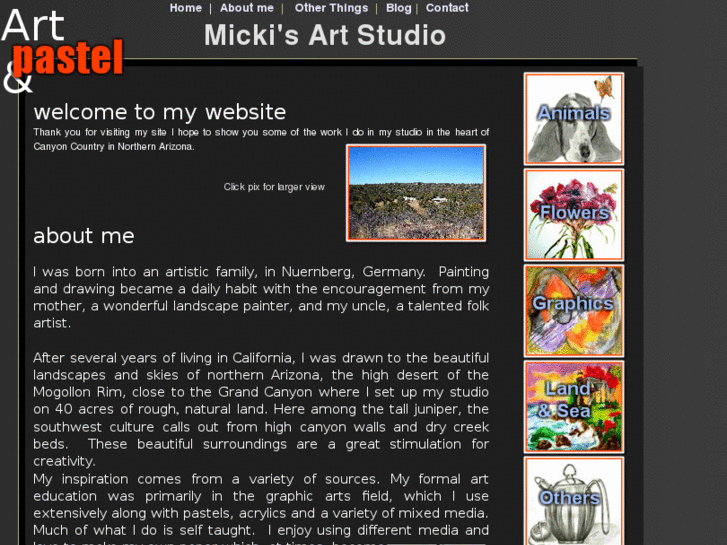 www.artinpastel.com