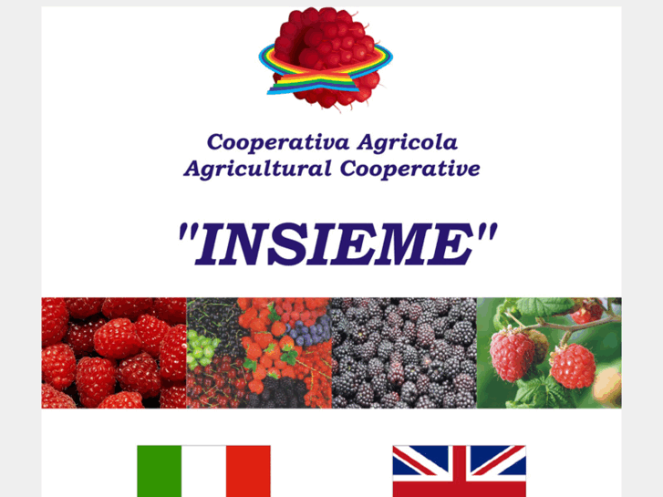 www.coop-insieme.com