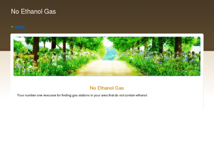 www.noethanolgas.com