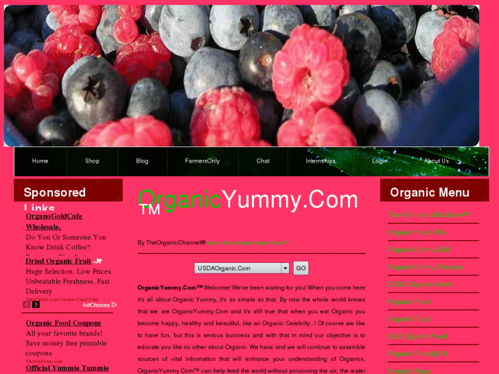 www.organicyummi.com