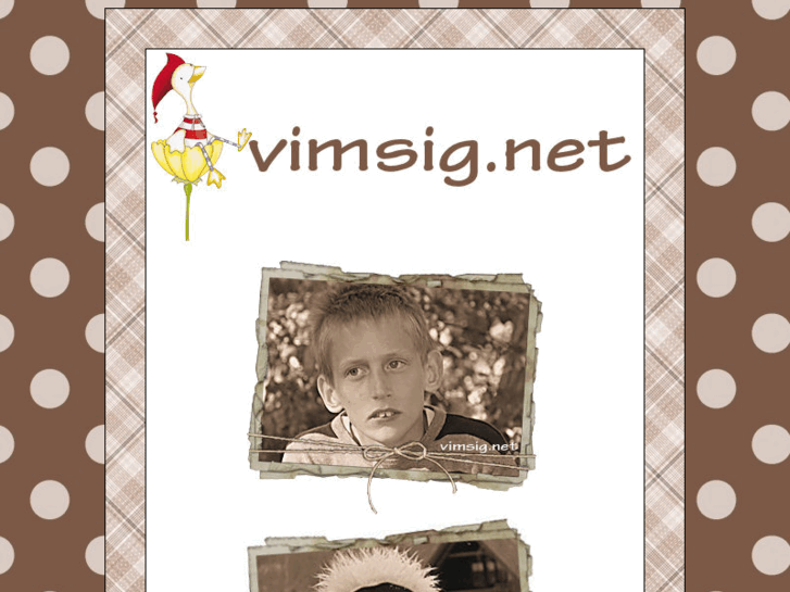 www.vimsig.net