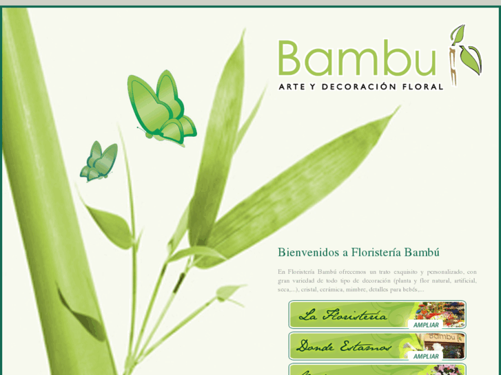 www.bambufloristeria.com