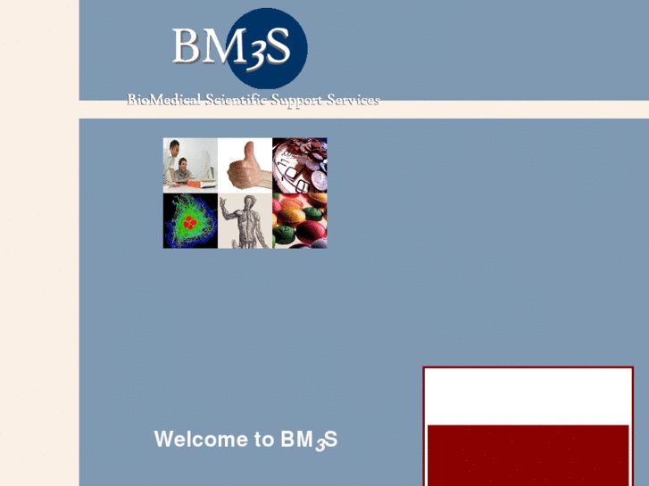 www.bm3s.com