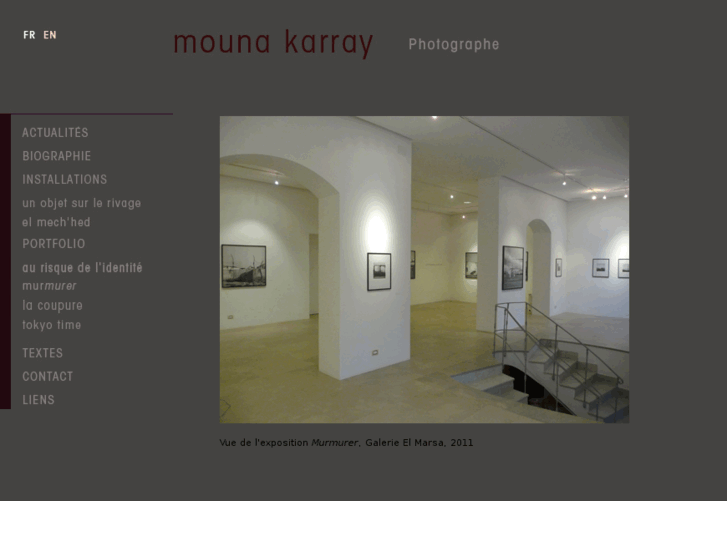 www.mounakarray.com