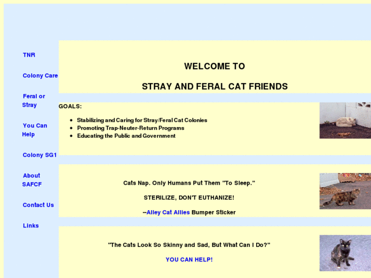 www.strayandferalcatfriends.org