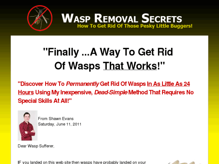 www.waspremovalsecrets.com